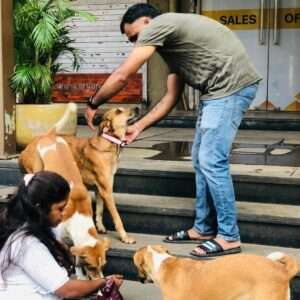 Donate Monthly for Animals