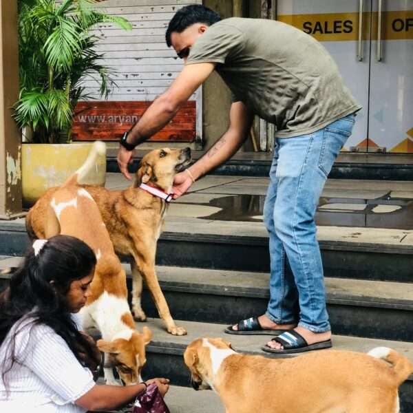Donate Monthly for Animals